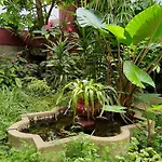 Garden House Apartman