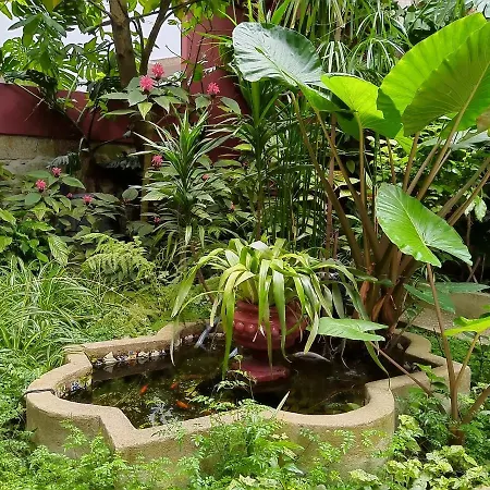 Garden House Apartment