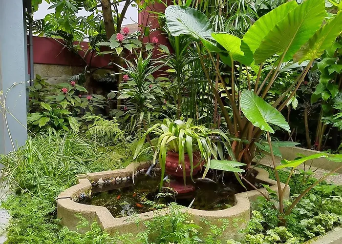 Garden House Apartman