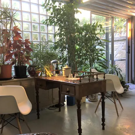 Apartment Garden House