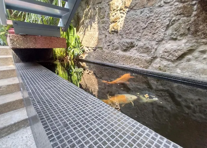 Garden House Apartmán